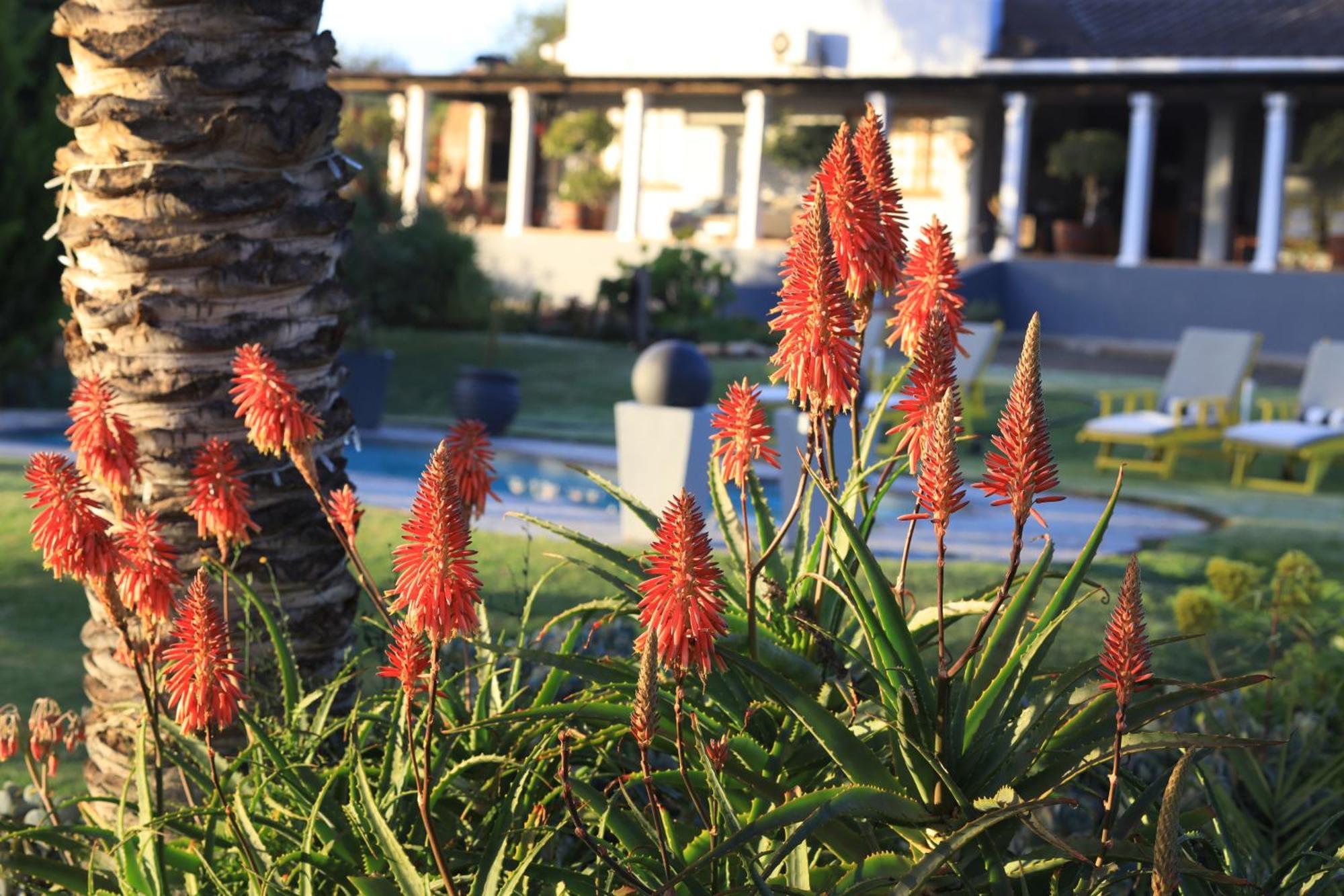 Thylitshia Villa Country Guest House 오쇼른 외부 사진