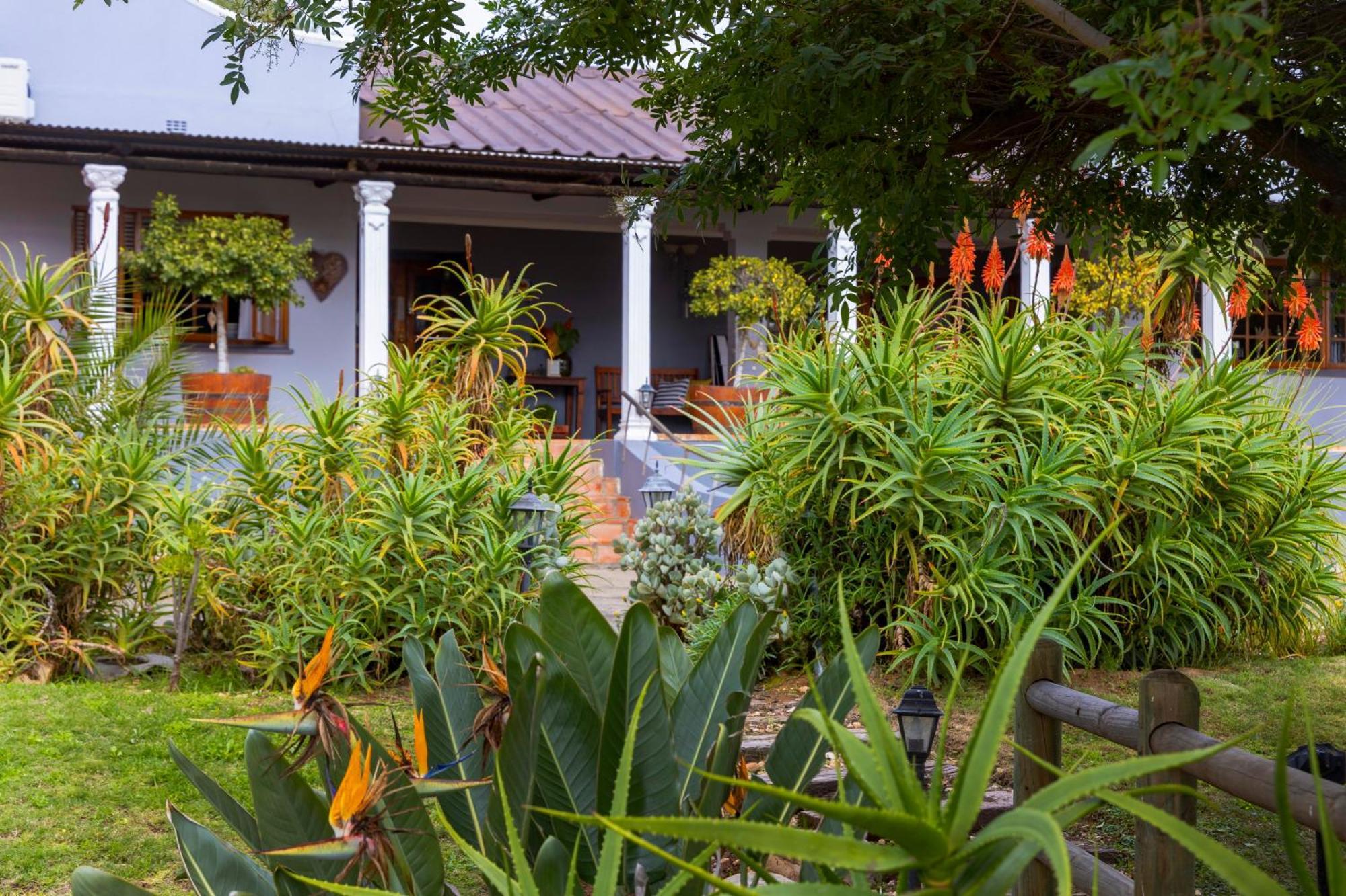 Thylitshia Villa Country Guest House 오쇼른 외부 사진