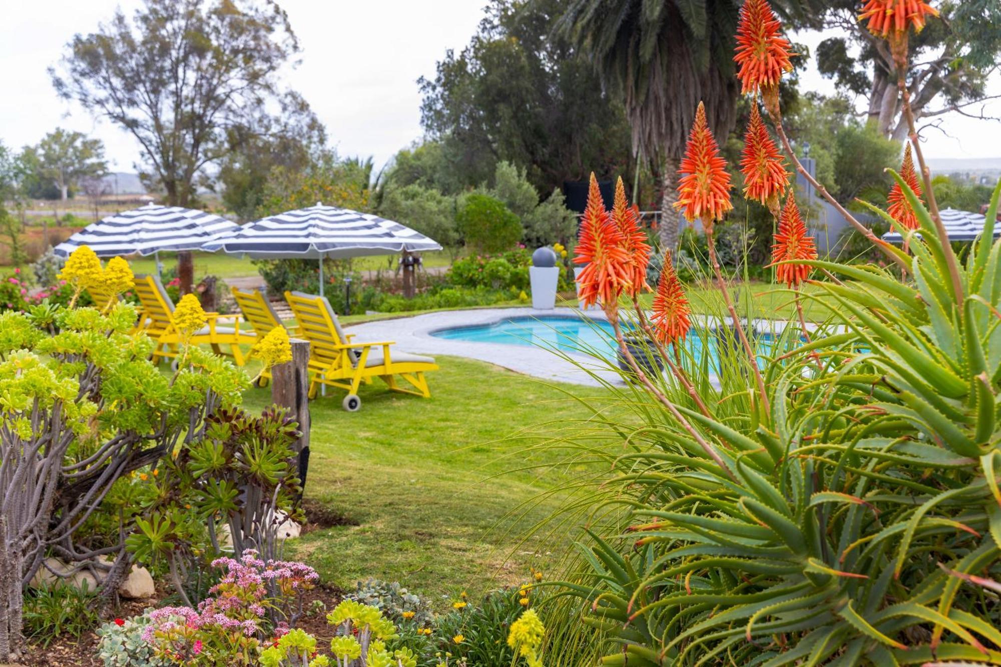 Thylitshia Villa Country Guest House 오쇼른 외부 사진